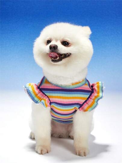 PETSIN 寵物條紋多彩針織帽袖底襯T卹