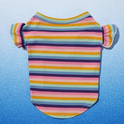 PETSIN Áo thun có mũ dệt kim có sọc đầy màu sắc dành cho thú cưng