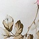 淺粉色