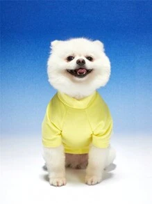 PETSIN 休閒款黃色漸變字母印花寵物連帽衣，男女適用