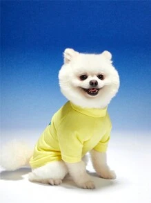 PETSIN 休閒款黃色漸變字母印花寵物連帽衣，男女適用