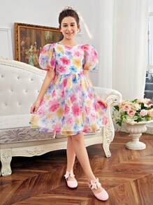 SHEIN DRMZ Tween Girl Tween 女童刺绣网眼提花圆领短袖派对礼服 适合婚礼季节 - 彩色 - 查看 13