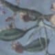 藍色