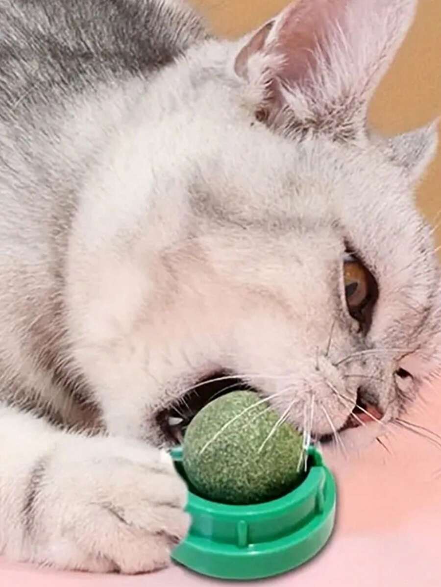 1 个粉色猫薄荷球，具有旋转功能，用于磨牙和清洁，猫薄荷球墙壁粘蟹猫玩具，适合宠物猫玩耍和缓解无聊猫咀嚼玩具，含有促进消化剂猫薄荷球，粘性猫玩具，磨牙 - 粉色 - 查看 1