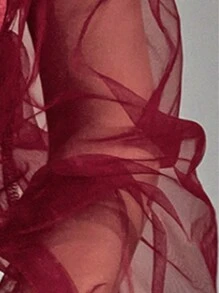 Allurite Women's Elegant Mesh And Lace Slim-Fit Top With Off Shoulder And Lantern Sleeve, Spring/Summer Fall Cloth For Women - Burgundy - View 7