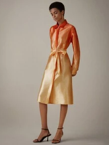 Aveloria Modichic Satin Lapel H-Line Ombre Long Sleeve Dress With Elegant Design - Multicolor - View 4