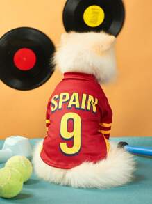 PETSIN Camiseta de fútbol impresa con letras y números de talla española 9 para mascotas gato y perro, adecuada para la Copa de Europa