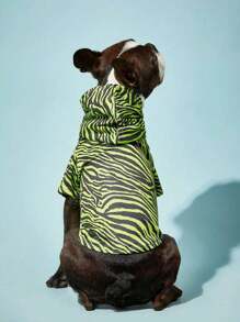 PETSIN 1 pezzo Felpa leggera a righe a zebra verde per animali domestici