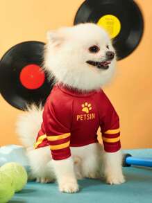 PETSIN Camiseta de fútbol impresa con letras y números de talla española 9 para mascotas gato y perro, adecuada para la Copa de Europa