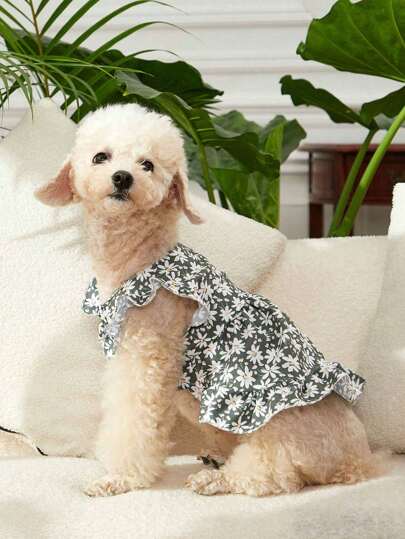 Kays Illustrations Artist 1 件复古优雅黑色碎花度假风格宠物印花连衣裙，情人节