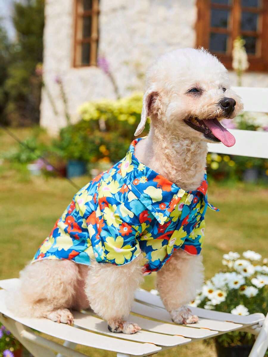 PETSIN 1入款度假風寵物印花襯衫 - 彩色 - 查看 1