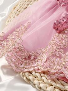 2pcs Champagne Newborn Photography Clothing Set, Baby Girls' Princess Embroidered Mesh Dress, Bowknot Lace Princess Skirt For Photo Shoot - Dusty Pink - View 8