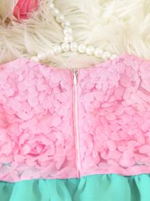 Girls Baby Floral Embroidery Appliques Mesh Overlay Dress - Pink - View 5