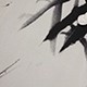 彩色