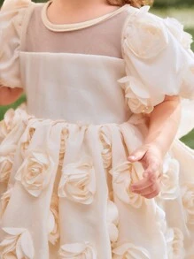 SHEIN Glamorique Kids 女婴优雅花童连衣裙，非常适合生日派对和节日，具有泡泡袖，杏色，3D 玫瑰，时尚别致的大蝴蝶结，优雅的薄纱，非常适合钢琴表演、晚会和表演，一岁
