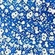 Blue and White