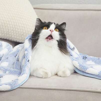 PETSIN 1pc Star & Cloud Pattern Pet Blanket - Soft And Cozy For Spring, Autumn, Winter, And Cool Summer Evenings; Perfect For Daily Lounging, Bedtime, Travel, Outdoor Picnics, Holiday Gatherings, Festive Gifts; Provides Warmth, Comfort, And Stylish Protection For Your Pet