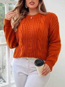 EMERY ROSE Plus Solid Cable Knit Drop Shoulder Sweater, For Winter Knit Pullover Fall Autumn - Coral Orange - View 3