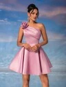 Rosa vieja