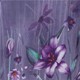 Dusty Purple