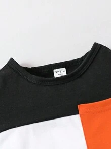 SHEIN Playful Pals Conjunto de ropa casual sencilla con bloqueo de color y manga corta para niño pequeño, primavera/verano - Multicolor - Ver 5