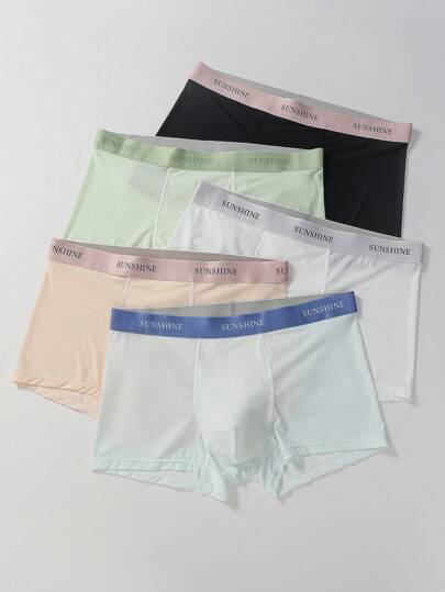 5 条装 青少年男孩简约弹力腰带纯色透气运动三角裤