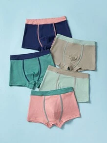 小男童5入組汽車和恐龍圖案內衣