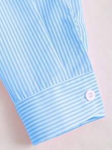 SHEIN LUNE Long Sleeve Casual Embroidery Striped Shirt, Spring Autumn,Long Sleeve Tops Fall Cloth For Women - Blue - View 4