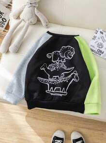 SHEIN Leap Crew 1 件年轻男孩可爱卡通恐龙动物印花套头衫，拼色长袖，舒适百搭，适合外出、上学、花园、海滩、生日、婴儿洗礼，适合秋冬季