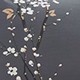 深灰色