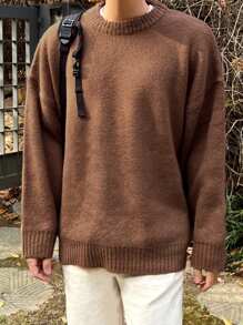 DAZY Men's Solid Color Crew Neck Casual Knitted Brown  Sweater, Fall