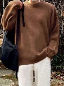 DAZY Men's Solid Color Crew Neck Casual Knitted Brown  Sweater, Fall