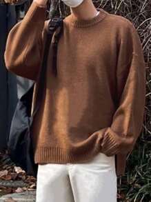 DAZY Men's Solid Color Crew Neck Casual Knitted Brown  Sweater, Fall