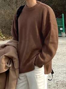 DAZY Men's Solid Color Crew Neck Casual Knitted Brown  Sweater, Fall