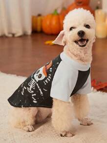 PETSIN Camiseta de esqueleto de calabaza de Halloween para mascotas