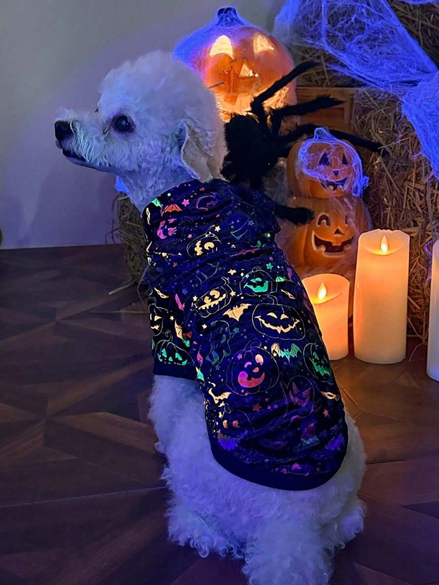 PETSIN 1 件万圣节蝙蝠和南瓜夜光连帽运动衫 - 彩色 - 查看 1