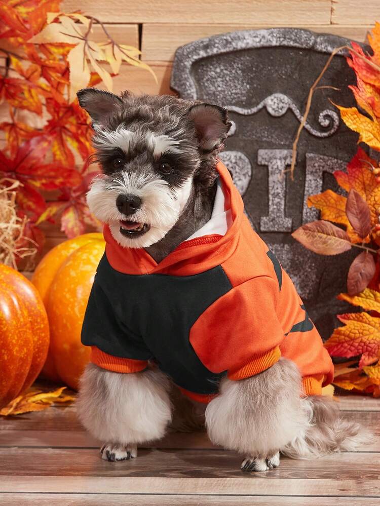 PETSIN Halloween Printed Pet Hooded Sweatshirt - Multicolor - View 7