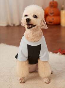 PETSIN Camiseta de esqueleto de calabaza de Halloween para mascotas