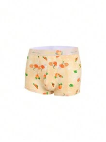 4pcs/Pack Men's Fruit Print Boxer Briefs - Multicolor - View 4