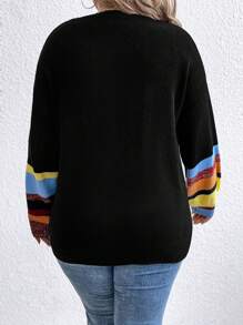 SHEIN LUNE Plus Size Women's Color Block Simple Daily Long Sleeve Crew Neck Sweater, For Winter Knit Pullover Fall Outfit - Black - View 2