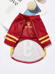 PETSIN Camiseta de fútbol impresa con letras y números de talla española 9 para mascotas gato y perro, adecuada para la Copa de Europa