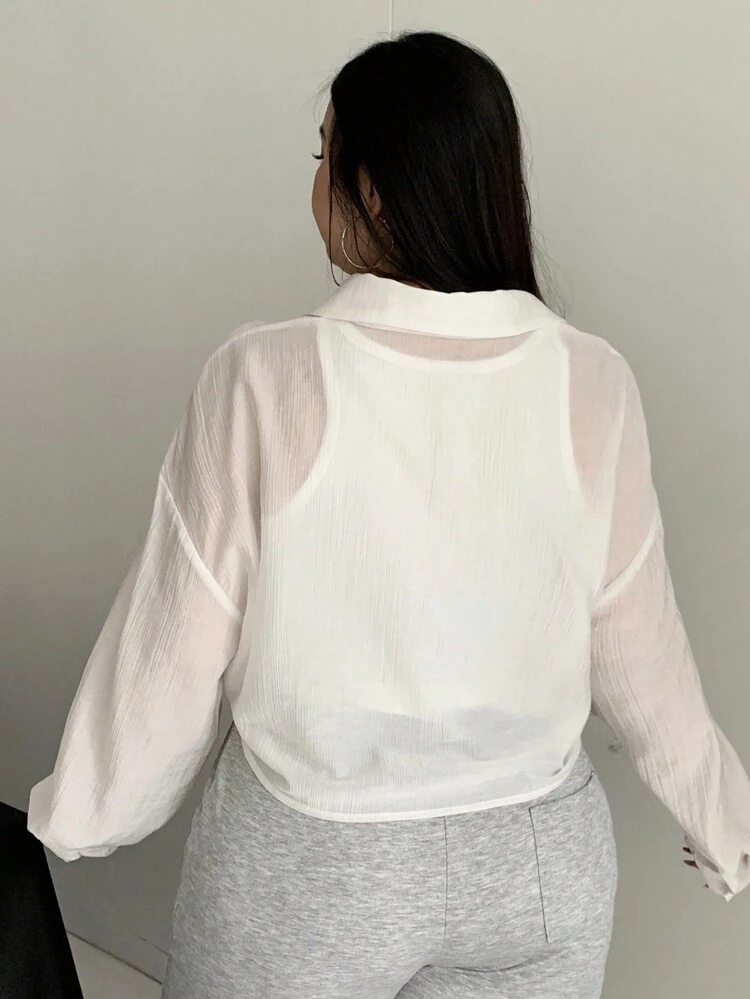 Dazy Petite Plus Plus Size Solid Loose Turndown Collar Long Sleeve Tie Shirt Sheer,Fall Women Clothes