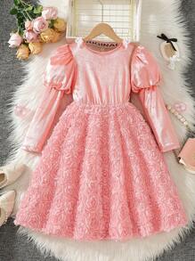 Girls Rose Embroidered Collar Short Sleeve A-Line Dress - Coral Pink - View 2