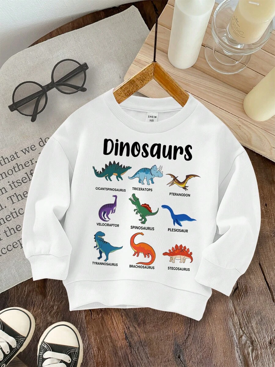 SHEIN Leap Crew Young Boys Casual Simple Cartoon Dinosaur Pattern Loose Daily Comfortable Thicken Knitted Long Sleeve Sweatshirt, Suitable For Summer - White - View 1