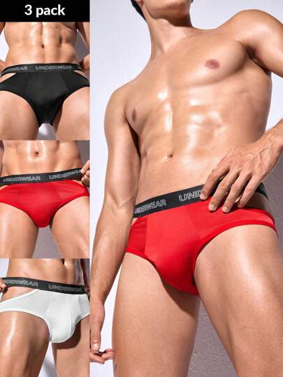 3 Packs Men's Knitted Fabric Multicolor Letter Tape Semi-Sheer Suspender Briefs Comfortable Fit