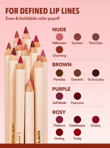 SHEGLAM Lip Facts 唇線筆-中性 乳霜霧面唇線筆 高色素 不易褪色 絲般柔滑 霧面輪廓 色調唇妝 品牌 美容 化妝 化妝品 適合女性與女孩 完美搭配冬季 Y2K 時尚 流行 生日禮物 假期 派對準備就緒 最佳顏色