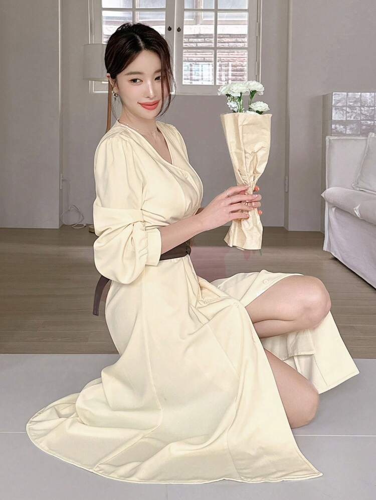 Women's V-Neck Long Sleeve Single-Breasted Maxi Casual Dress, Spring & Fall