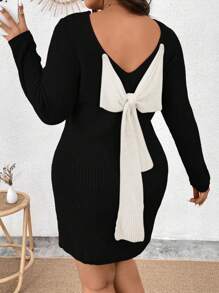 SHEIN Clasi Plus Size Spring Autumn Casual Color Block Bow Tie Long Sleeve Sweater Dress, For Winter - Multicolor - View 1