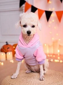 PETSIN 1 件可爱南瓜印花拼色羊毛运动衫，适合猫狗，万圣节 - 彩色 - 查看 5