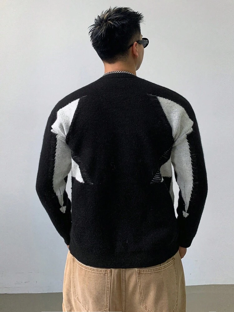 Men's Casual Contrast Color Patchwork & Letter Embroidered Sweater, Autumn